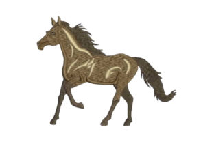 Horse Profile: A Charming Design for Personalized Gifts